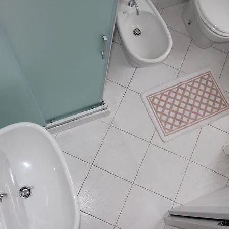 酒店 花园酒店 阿拉西奥